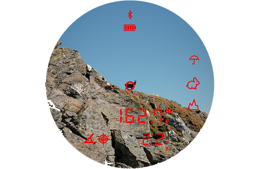 STEINER BINO OBSERVER 10X42 LRF