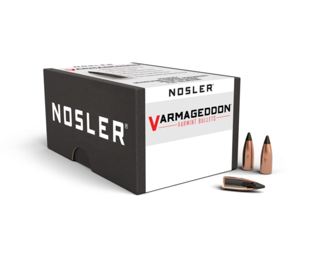 P 17 20GR NOSLER VARMAGEDDON TIPPED (100)