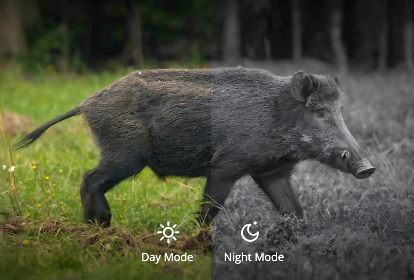 SCOPE HIKMICRO ALPEX A50T NIGHTVISION