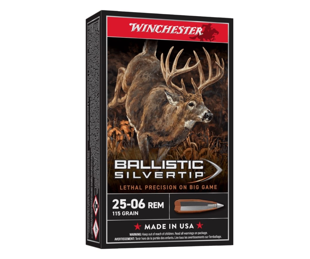 WINCHESTER AMMO BALLISTIC SILVERTIP